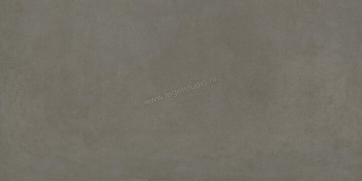  Ragno Solida Cemento 60x120 cm Vloertegel / Wandtegel Mat Vlak Naturale RDE3 | 449789