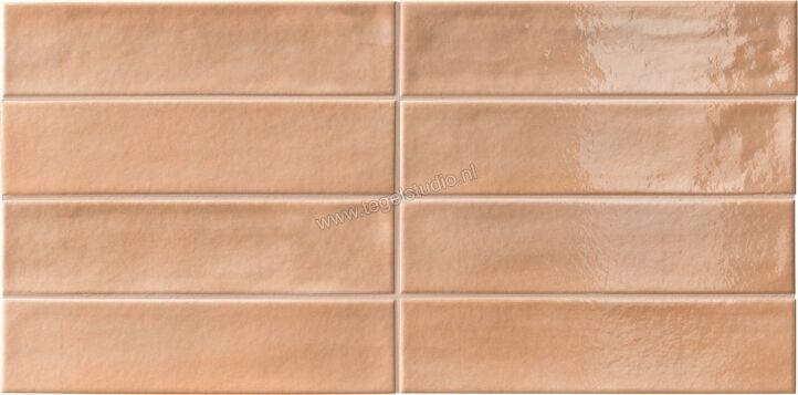  Faetano Ghiaccioli Pesca 6x25 cm Wandtegel Brick Glanzend Gestructureerd Naturale 62GH06BRI | 452060