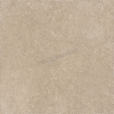  Sichenia Chantilly Beige 60x60 cm Vloertegel / Wandtegel Mat Gestructureerd Naturale 0197743 | 452726