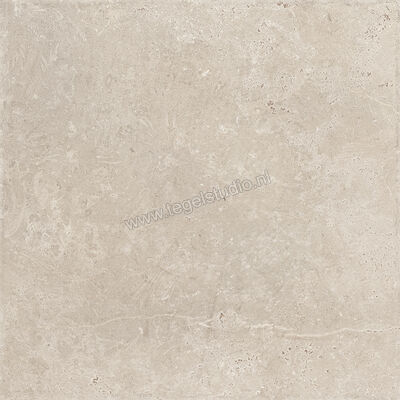 Sichenia Chantilly Melange 60x60 cm Vloertegel / Wandtegel Mat Gestructureerd Naturale 0197744 | 452744