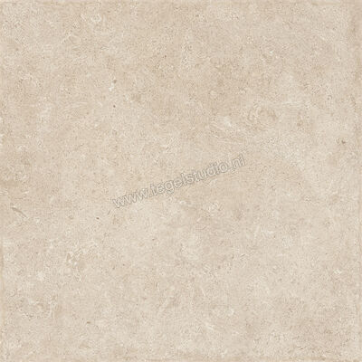  Sichenia Chantilly Melange 60x60 cm Vloertegel / Wandtegel Mat Gestructureerd 197745 | 452750