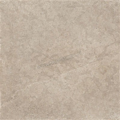  Sichenia Chantilly Melange 60x60 cm Vloertegel / Wandtegel Mat Gestructureerd 197745 | 452753