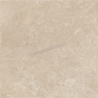  Sichenia Chantilly Melange 60x60 cm Vloertegel / Wandtegel Mat Gestructureerd 197745 | 452762
