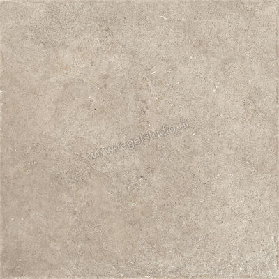  Sichenia Chantilly Melange 60x60 cm Vloertegel / Wandtegel Mat Gestructureerd 197745 | 452765