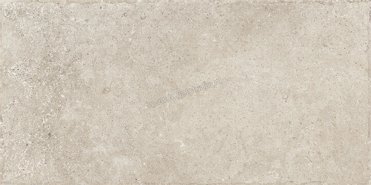  Sichenia Chantilly Melange 30x60 cm Vloertegel / Wandtegel Mat Gestructureerd Naturale 0197764 | 452819