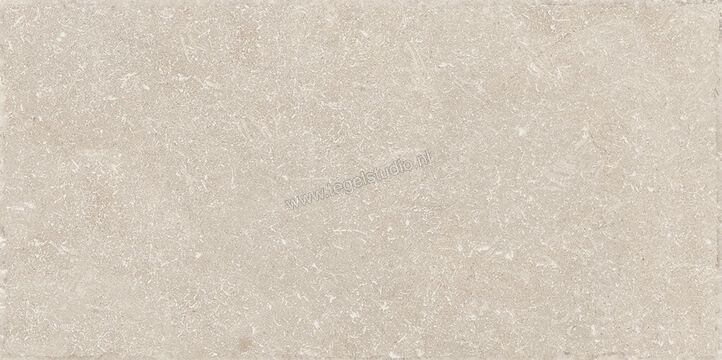  Sichenia Chantilly Melange 30x60 cm Vloertegel / Wandtegel Mat Gestructureerd Naturale 0197764 | 452822