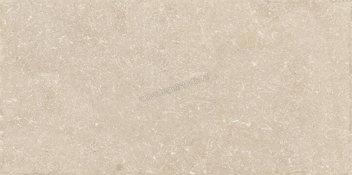  Sichenia Chantilly Melange 30x60 cm Vloertegel / Wandtegel Mat Gestructureerd 197765 | 452843