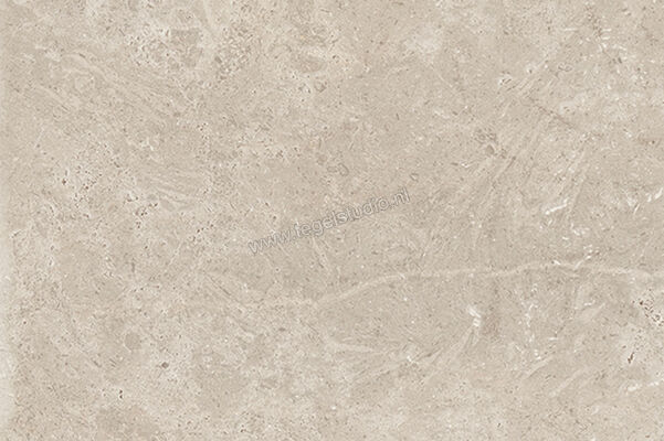  Sichenia Chantilly Melange 60x90x2 cm Terrastegel Mat Gestructureerd Naturale 0197784 | 452885