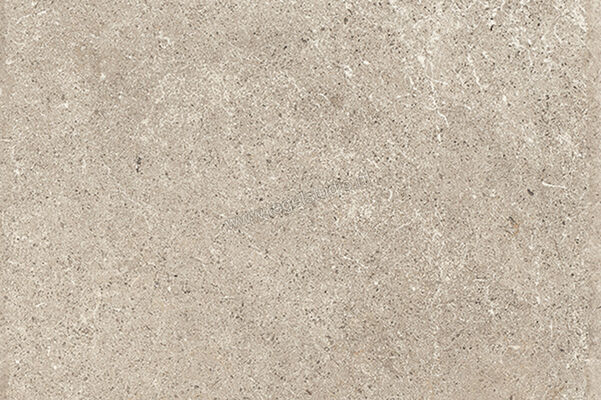  Sichenia Chantilly Melange De Nuit 60x90x2 cm Terrastegel Mat Gestructureerd Naturale 0197785 | 452894