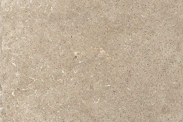  Sichenia Chantilly Melange De Nuit 60x90x2 cm Terrastegel Mat Gestructureerd Naturale 0197785 | 452897
