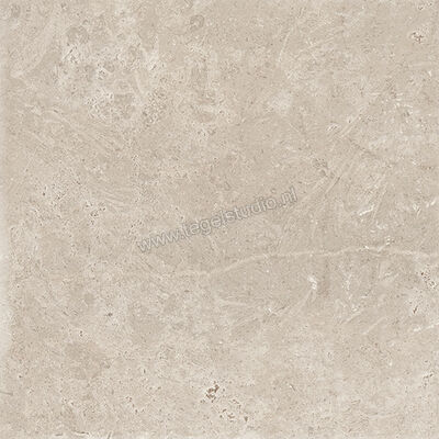  Sichenia Chantilly Melange 30x30 cm Vloertegel / Wandtegel Mat Gestructureerd Naturale 0197894 | 452978