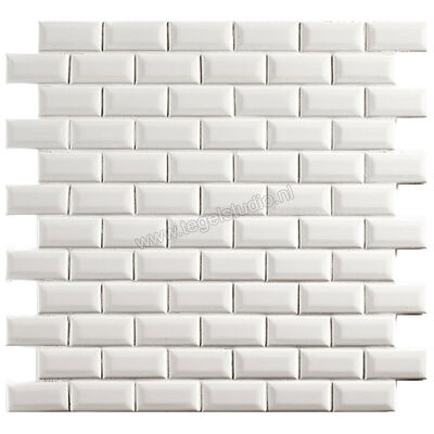  Aquacolor Porcelain White 30x30 cm Decor 2.3x4.8cm Glossy AQUA149 | 453063