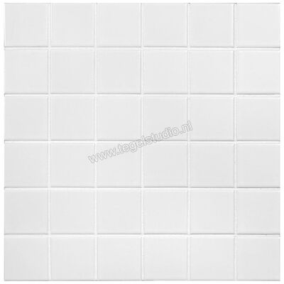  Aquacolor Porcelain White 30x30 cm Vloertegel / Wandtegel 4.8x4.8cm Mat AQUA158 | 453090