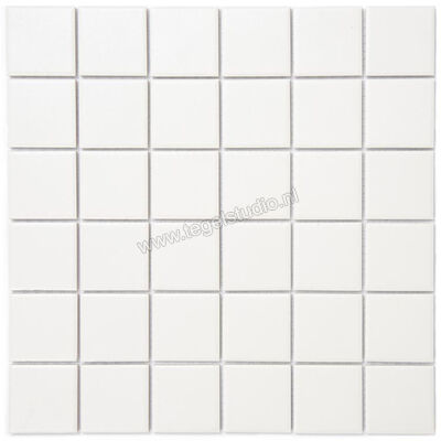  Aquacolor Porcelain Superwhite UG 30x30 cm Vloertegel / Wandtegel 4.8x4.8cm AQUA160 | 453096