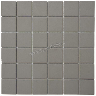  Aquacolor Porcelain Grey UG 30x30 cm Vloertegel / Wandtegel 4.8x4.8cm AQUA161 | 453099