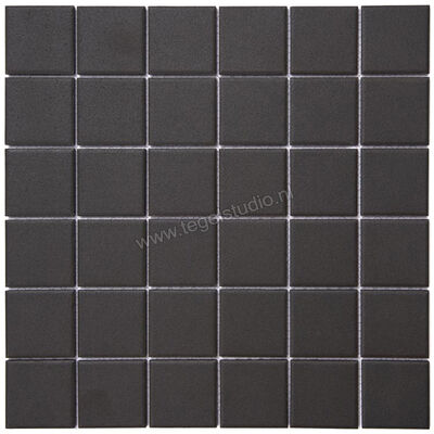  Aquacolor Porcelain Antracite UG 30x30 cm Vloertegel / Wandtegel 4.8x4.8cm AQUA162 | 453102
