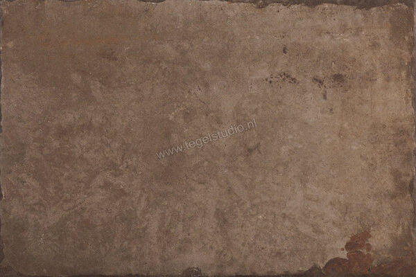  Fioranese Heritage Walnut 40.8x61.4 cm Vloertegel / Wandtegel Mat Vlak Naturale HE468 | 453577