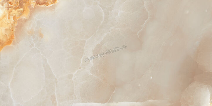  Fioranese Unica Cloudy Grey 74x148 cm Vloertegel / Wandtegel Glanzend Vlak Levigato UI711LR | 453823