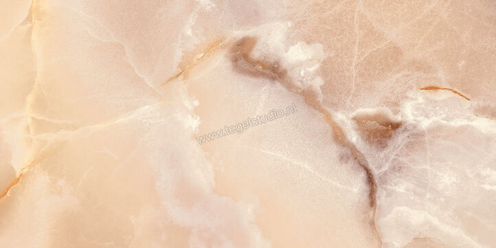  Fioranese Unica Misty Rose 60x120 cm Vloertegel / Wandtegel Glanzend Vlak Levigato UI624LR | 453844
