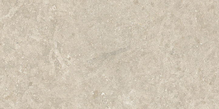  Mirage Elysian Desert stone 30x60 cm Vloertegel / Wandtegel Mat Vlak Naturale MRAWR6 | 453994