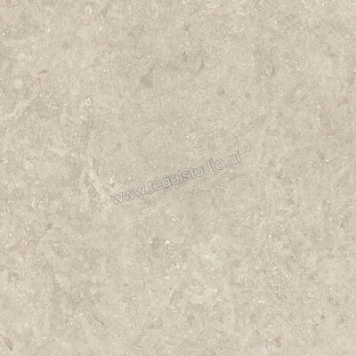  Mirage Elysian Outdoor Desert stone 60x60x2 cm Terrastegel Mat Gestructureerd Strutturato MRBLE0 | 454030