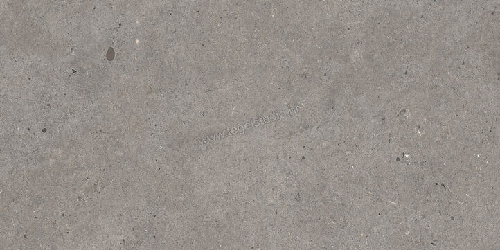  Mirage Elysian Outdoor Gris catalan 60x120x2 cm Terrastegel Mat Gestructureerd Strutturato MRAYE5 | 454147