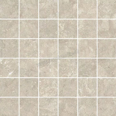  Mirage Elysian Desert stone 30x30 cm Mozaiek Mat Vlak Naturale MRBAT9 | 454264