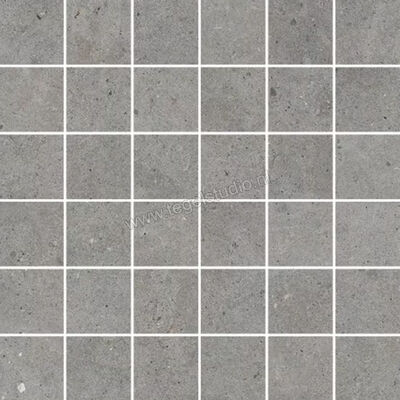  Mirage Elysian Gris catalan 30x30 cm Mozaiek Mat Vlak Naturale MRBAU1 | 454270