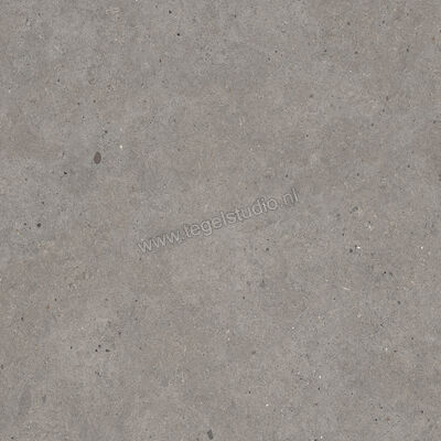  Mirage Elysian Outdoor Gris catalan 60x60x2 cm Terrastegel Mat Gestructureerd Strutturato MRBLE2 | 454402