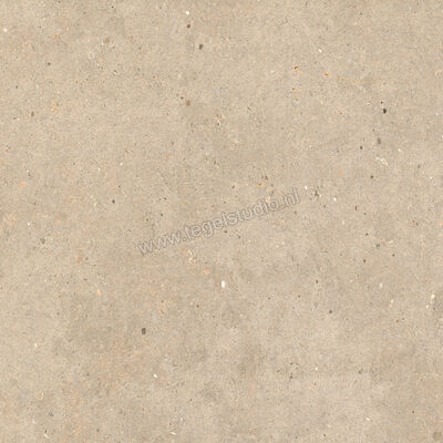  Mirage Elysian Outdoor Gold catalan 60x60x2 cm Terrastegel Mat Gestructureerd Strutturato MRBLE5 | 454411