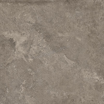  NovaBell Dusk Coal 60x60 cm Vloertegel / Wandtegel Mat Vlak Naturale DSK20RT | 455131