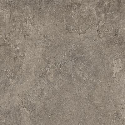  NovaBell Dusk Coal 60x60 cm Vloertegel / Wandtegel Mat Vlak Naturale DSK20RT | 455134