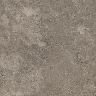  NovaBell Dusk Coal 60x60 cm Vloertegel / Wandtegel Mat Vlak Naturale DSK20RT | 455137