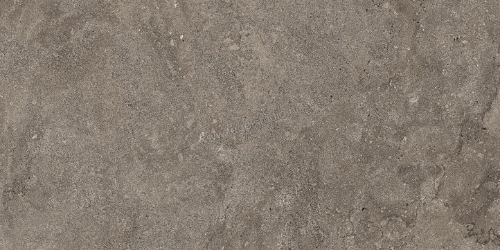  NovaBell Dusk Coal 60x120 cm Vloertegel / Wandtegel Mat Vlak Naturale DSK22RT | 455140