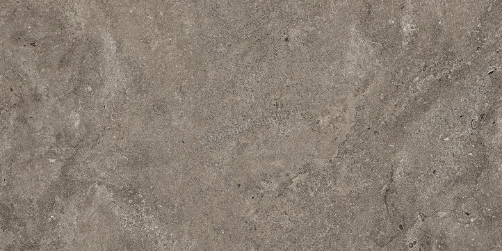  NovaBell Dusk Coal 60x120 cm Vloertegel / Wandtegel Mat Vlak Naturale DSK22RT | 455143