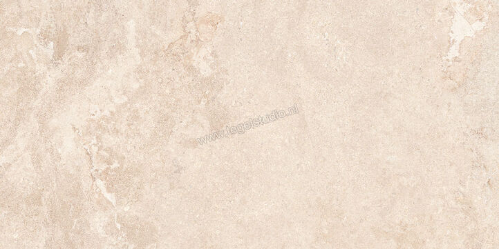 NovaBell Dusk Dune 60x120 cm Vloertegel / Wandtegel Mat Vlak Naturale DSK42RT | 455206