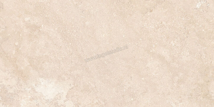  NovaBell Dusk Dune 60x120 cm Vloertegel / Wandtegel Mat Vlak Naturale DSK42RT | 455209