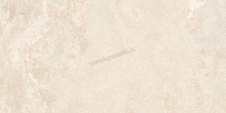  NovaBell Dusk Moon 60x120 cm Vloertegel / Wandtegel Mat Vlak Naturale DSK82RT | 455290