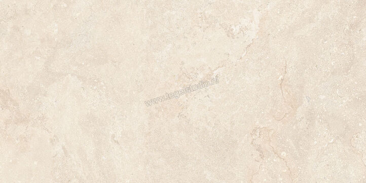  NovaBell Dusk Moon 60x120 cm Vloertegel / Wandtegel Mat Vlak Naturale DSK82RT | 455293