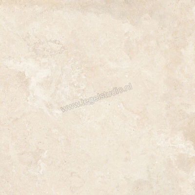  NovaBell Dusk Moon 120x120 cm Vloertegel / Wandtegel Mat Vlak Naturale DSK188R | 455464