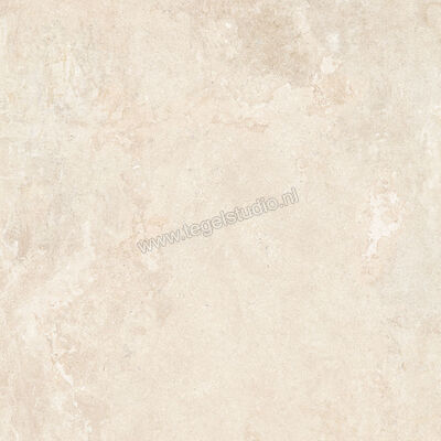  NovaBell Dusk Moon 120x120 cm Vloertegel / Wandtegel Mat Vlak Naturale DSK188R | 455467