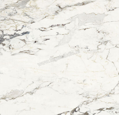  NovaBell Atelier Supreme Capraia 60x60 cm Vloertegel / Wandtegel Glanzend Gestructureerd Gepolijst ATL10LR | 455665