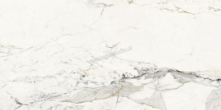  NovaBell Atelier Supreme Capraia 60x120 cm Vloertegel / Wandtegel Glanzend Gestructureerd Gepolijst ATL12LR | 455683