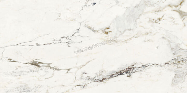  NovaBell Atelier Supreme Capraia 30x60 cm Vloertegel / Wandtegel Glanzend Gestructureerd Gepolijst ATL16LR | 455704