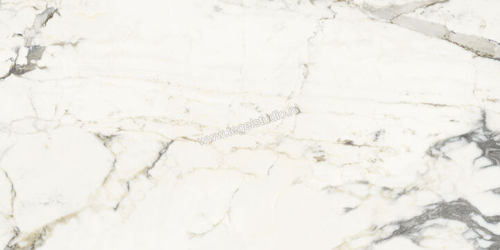  NovaBell Atelier Supreme Capraia 30x60 cm Vloertegel / Wandtegel Glanzend Gestructureerd Gepolijst ATL16LR | 455710