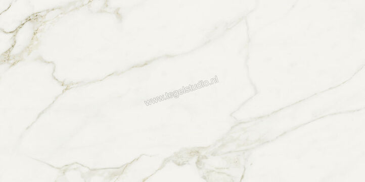  NovaBell Atelier Calacatta Grey 60x120 cm Vloertegel / Wandtegel Glanzend Gestructureerd Gepolijst ATL32LR | 455785