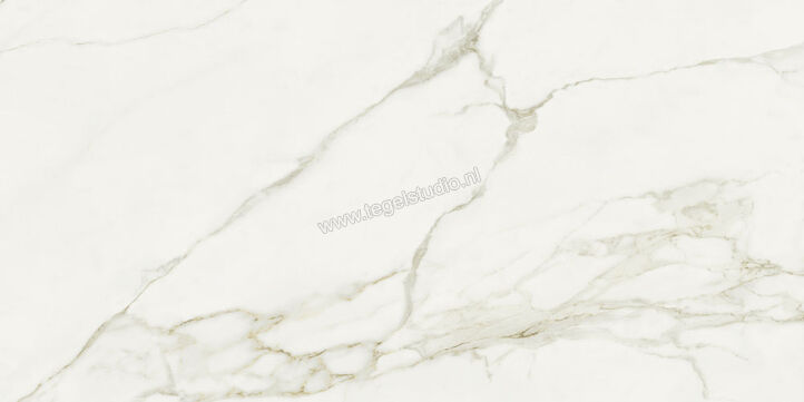  NovaBell Atelier Calacatta Grey 30x60 cm Vloertegel / Wandtegel Glanzend Gestructureerd Gepolijst ATL36LR | 455806