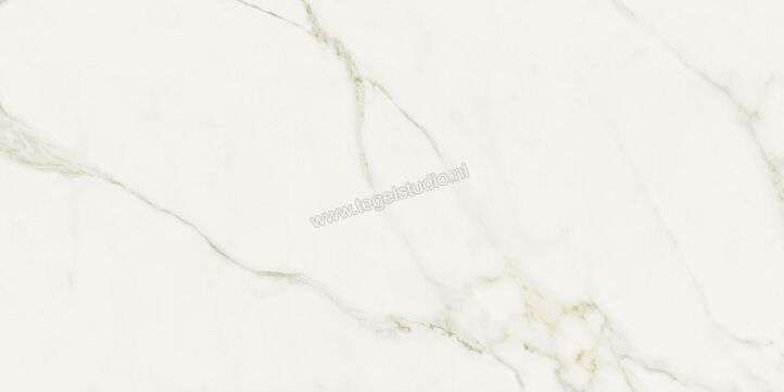  NovaBell Atelier Calacatta Grey 30x60 cm Vloertegel / Wandtegel Glanzend Gestructureerd Gepolijst ATL36LR | 455812