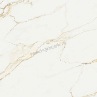  NovaBell Atelier Calacatta Gold 60x60 cm Vloertegel / Wandtegel Mat Gestructureerd Naturale ATL40RT | 455836