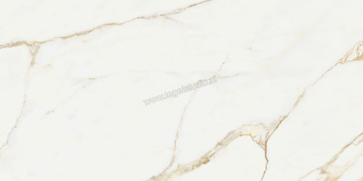  NovaBell Atelier Calacatta Gold 60x120 cm Vloertegel / Wandtegel Glanzend Gestructureerd Gepolijst ATL42LR | 455848